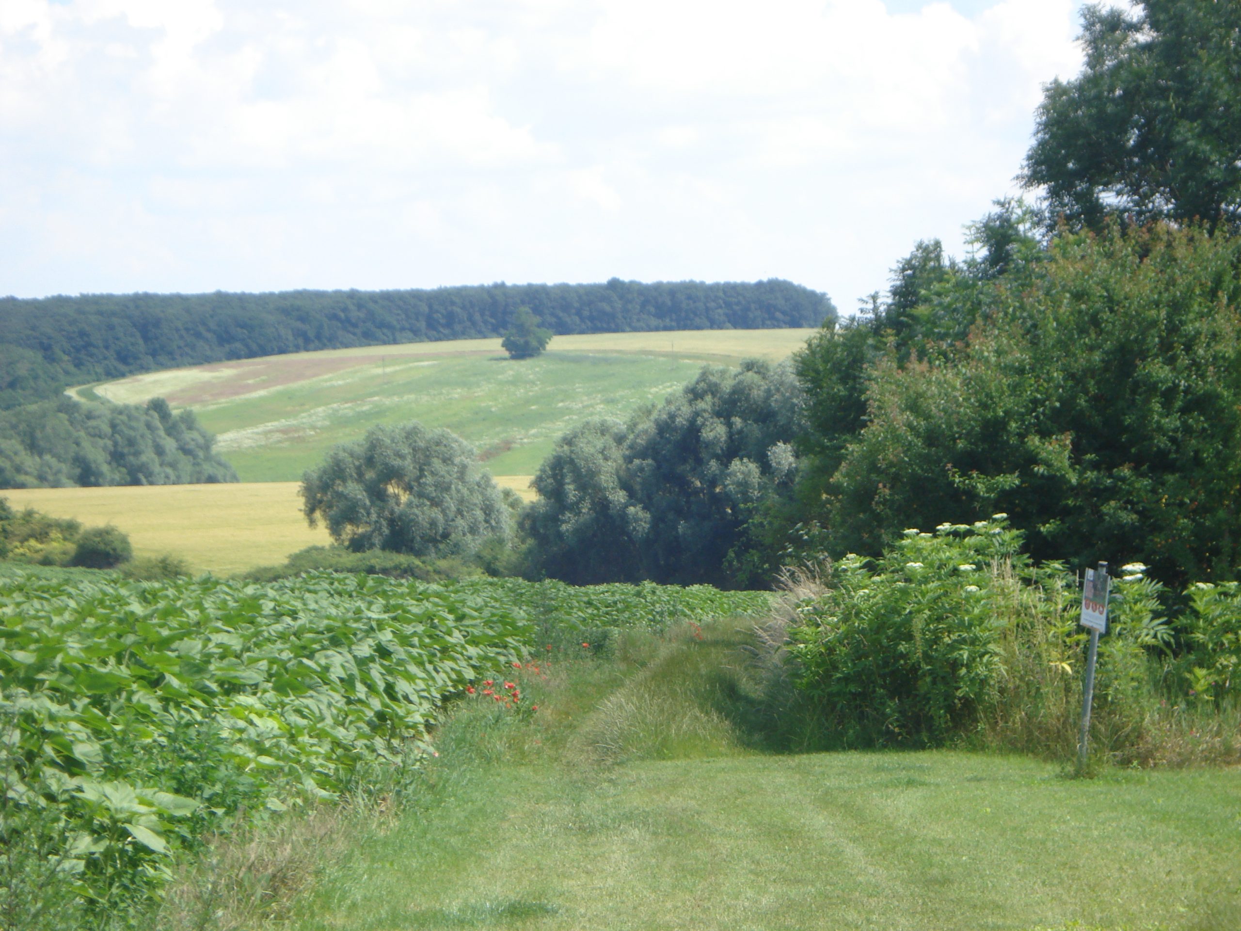 Pátranie po pôvodných obradných miestach Slovanov: Nitra Párovské háje